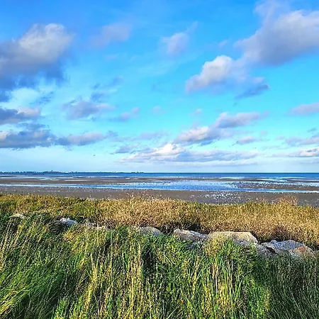 Dom wakacyjny Homard - Bord De - 4/6 Personnes