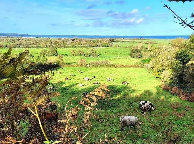 Homard - Bord De - 4/6 Personnes Prázdninový dům