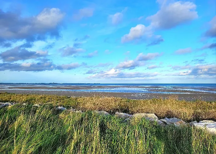 Prázdninový dům Homard - Bord De - 4/6 Personnes